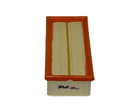 Luftfilter A389 Purflux