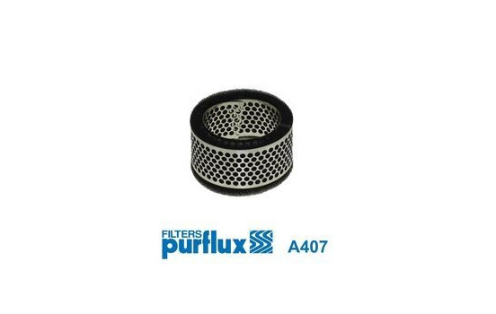 Luftfilter A407 Purflux
