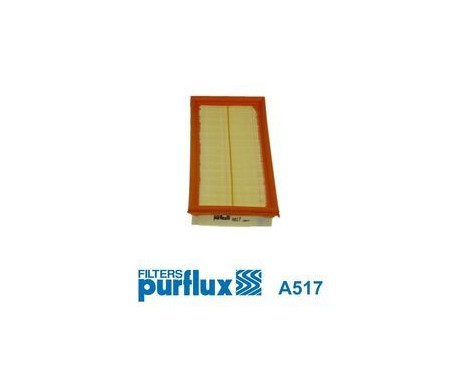 Luftfilter A517 Purflux