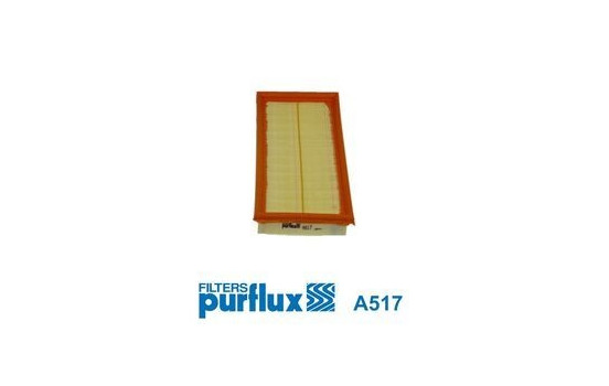 Luftfilter A517 Purflux