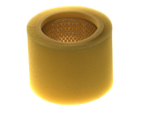 Luftfilter A590 Purflux