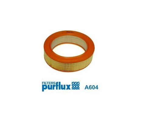 Luftfilter A604 Purflux