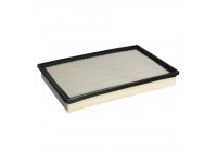 Luftfilter ADA102239 Blue Print