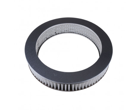 Luftfilter ADC42204 Blue Print, bild 2