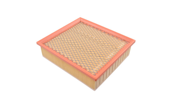 Luftfilter ADF122201 Blue Print