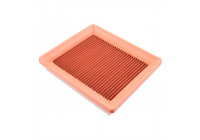 Luftfilter ADF122206 Blue Print