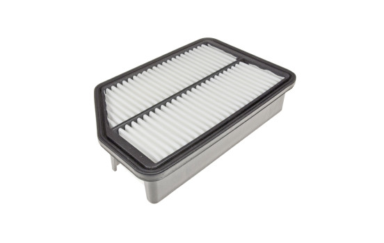 Luftfilter ADG022116 Blue Print