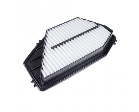 Luftfilter ADH22229 Blue Print, bild 2