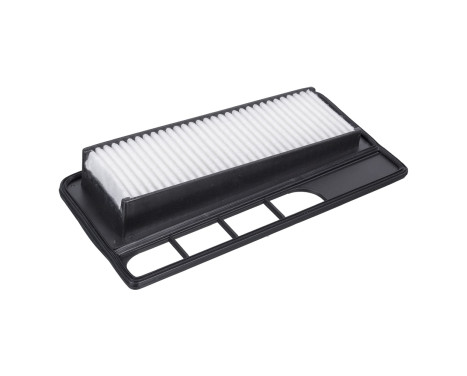 Luftfilter ADK82229 Blue Print, bild 2