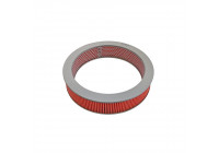 Luftfilter ADN12202 Blue Print