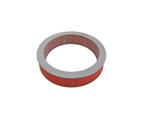 Luftfilter ADN12202 Blue Print