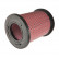 Luftfilter ADN12231 Blue Print, miniatyr 2