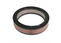 Luftfilter ADN12263 Blue Print