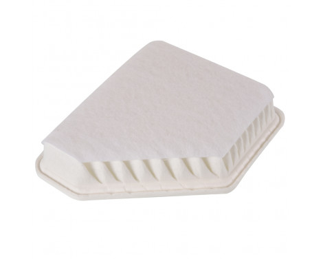 Luftfilter ADT322101 Blue Print, bild 2