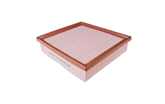 Luftfilter ADT322119 Blue Print