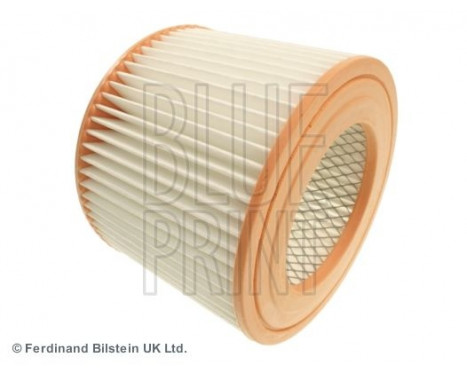 Luftfilter ADT32219 Blue Print, bild 4