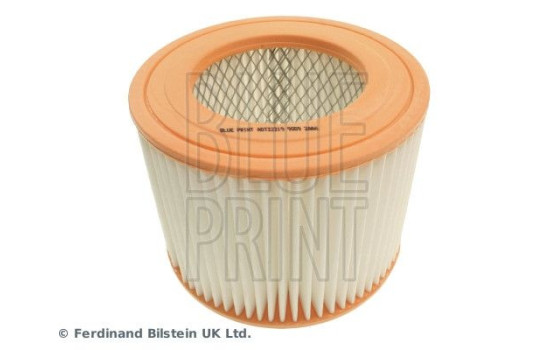 Luftfilter ADT32219 Blue Print, bild 3