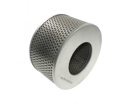 Luftfilter ADT32245 Blue Print
