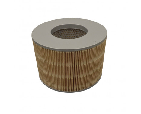 Luftfilter ADT32251 Blue Print