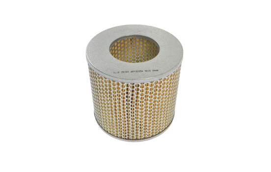 Luftfilter ADT32254 Blue Print