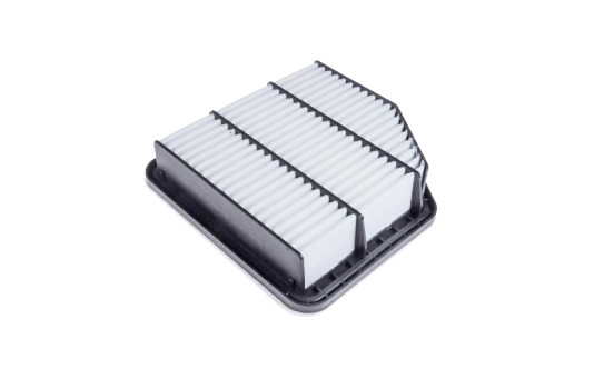 Luftfilter ADT32290 Blue Print, bild 2