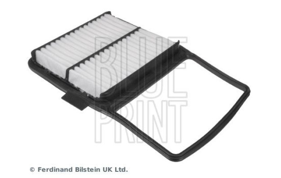 Luftfilter ADT32291 Blue Print, bild 4