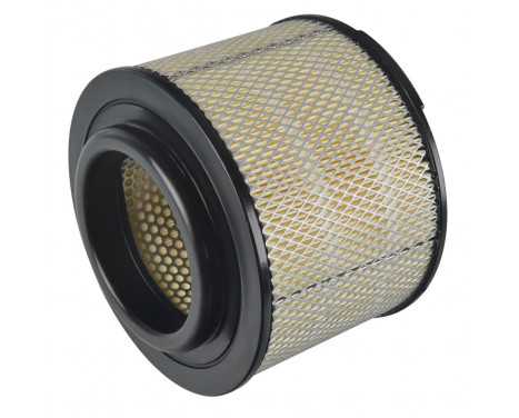 Luftfilter ADT32295 Blue Print
