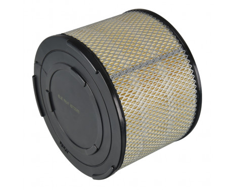 Luftfilter ADT32295 Blue Print, bild 2
