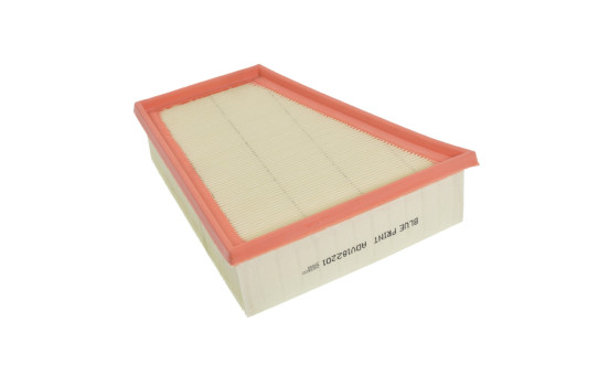 Luftfilter ADV182201 Blue Print