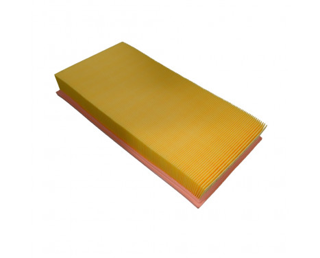Luftfilter ADV182245 Blue Print, bild 2