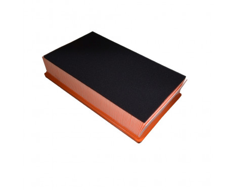 Luftfilter ADV182252 Blue Print, bild 2