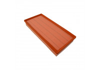 Luftfilter ADV182256 Blue Print