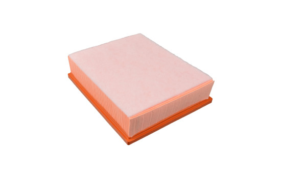 Luftfilter ADV182264 Blue Print, bild 2