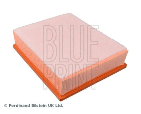 Luftfilter ADV182264 Blue Print, bild 4