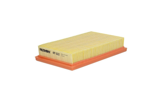 Luftfilter AP 022 Filtron