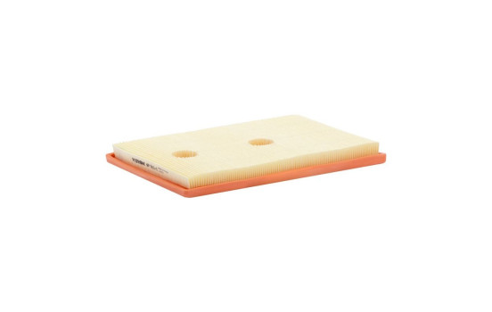 Luftfilter AP 062/1 Filtron