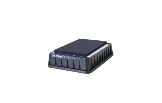 Luftfilter AP 120/3 Filtron