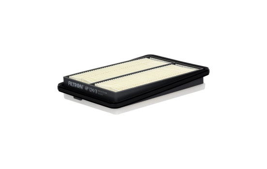 Luftfilter AP 124/3 Filtron