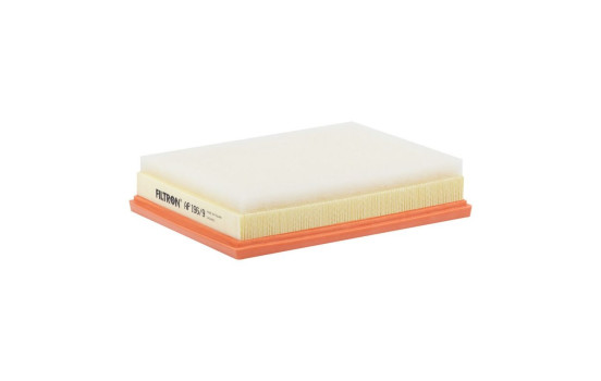 Luftfilter AP 196/9 Filtron