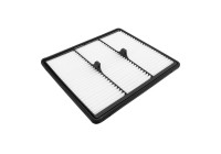 Luftfilter AP 198/3 Filtron