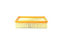 Luftfilter BSG 15-135-002