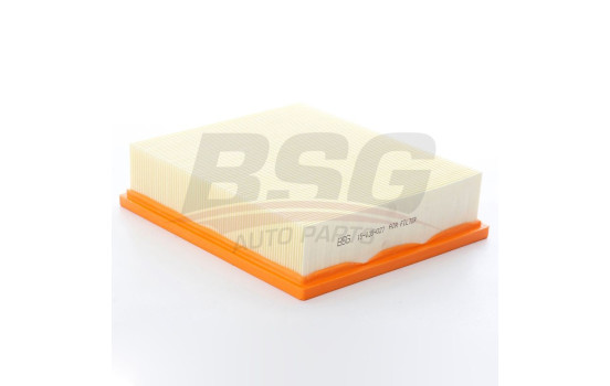 Luftfilter BSG 15-135-027