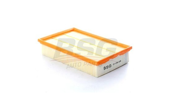 Luftfilter BSG 15-135-028