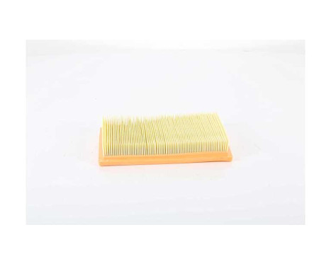 Luftfilter BSG 25-135-008