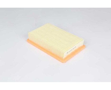 Luftfilter BSG 25-135-009