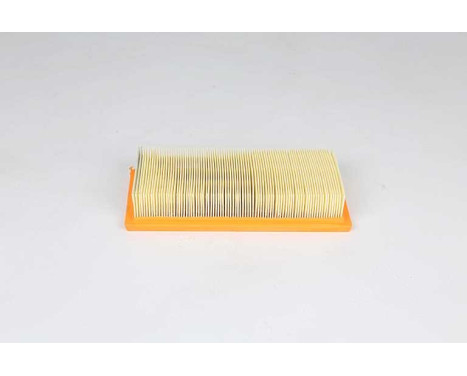 Luftfilter BSG 25-135-013