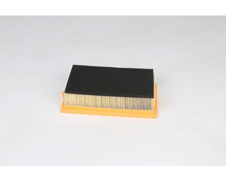 Luftfilter BSG 25-135-017