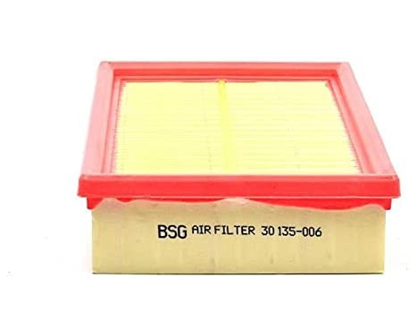 Luftfilter BSG 30-135-006