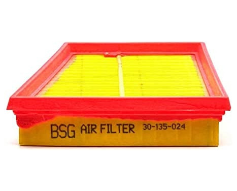 Luftfilter BSG 30-135-024