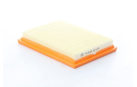 Luftfilter BSG 30-135-028